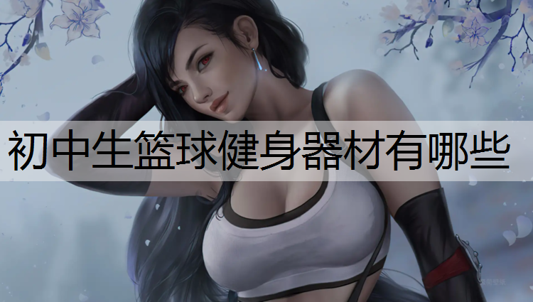 初中生篮球健身器材有哪些