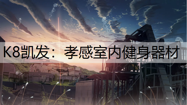 K8凯发：孝感室内健身器材