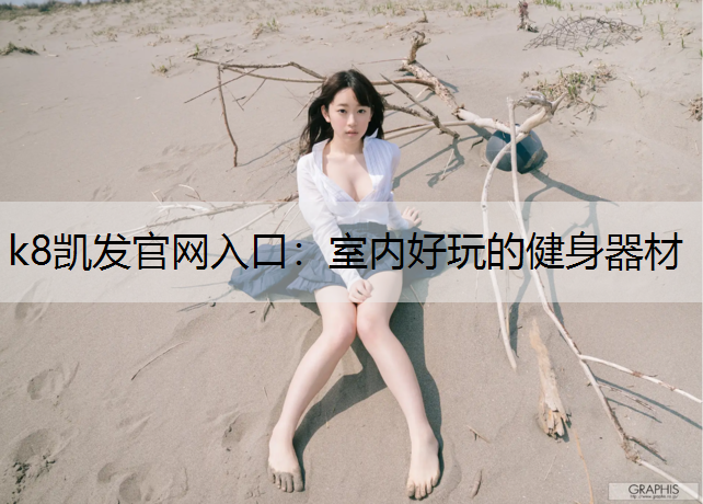 k8凯发官网入口：室内好玩的健身器材
