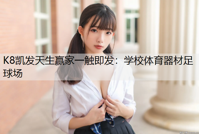 学校体育器材足球场