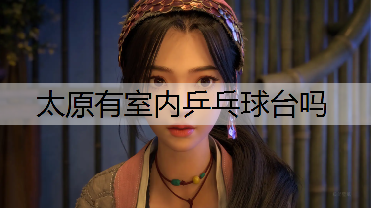 太原有室内乒乓球台吗