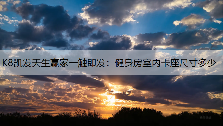 健身房室内卡座尺寸多少